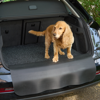 Car Boot Protector Standard