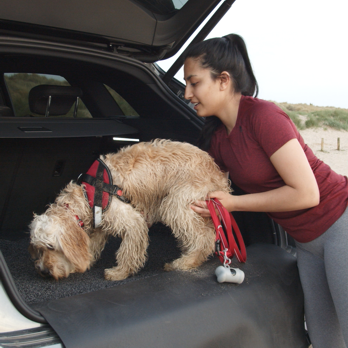 Car Boot and Bumper Protector